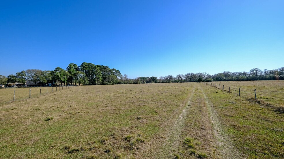 More Photos Of 26266 Fields Store Rd., Waller Land For Sale