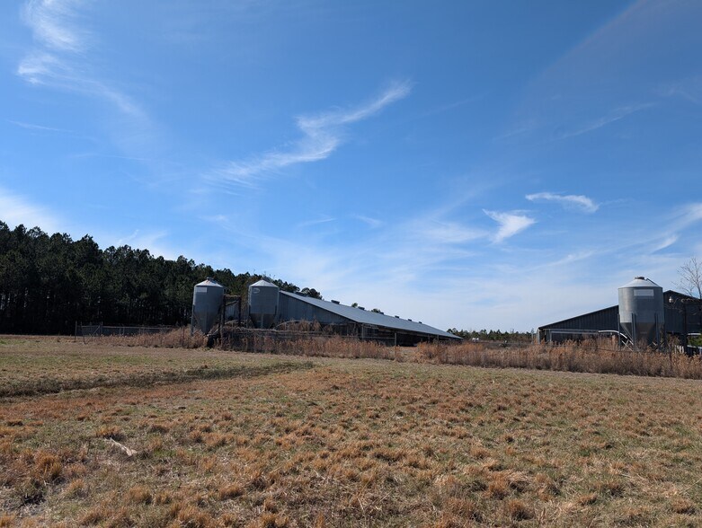 More Photos Of 522 Plum Nearly Ln, Trenton Land For Sale