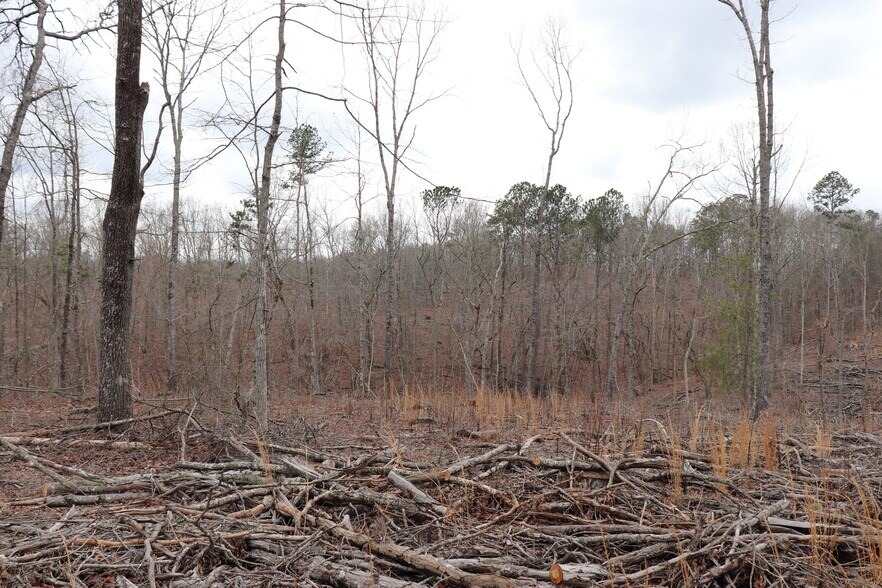 More Photos Of Knox Bridge Hwy @ Knox Bridge & Ficklen Church Hwy, Canton Land For Sale