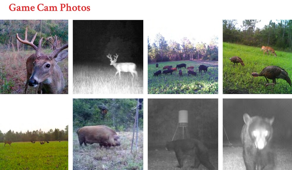 More Photos Of 8350 McLaughlin, Homosassa Land For Sale