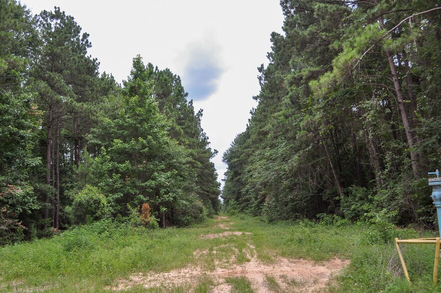 More Photos Of Tommy Smith Road, Conroe Land For Sale
