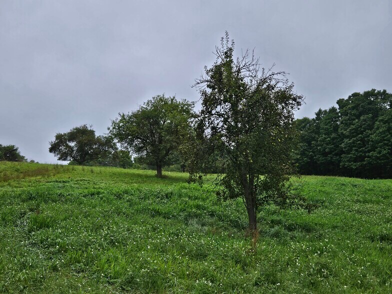 More Photos Of 3922 Kortwright Rd, Jamestown Warehouse For Sale