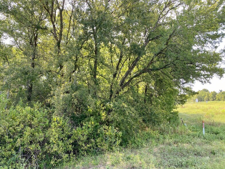 More Photos Of TBD HWY105, Navasota Land For Sale