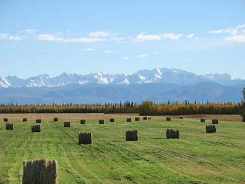 Primary Photo Of Sawmill Creek Rd, Delta Junction Land For Sale