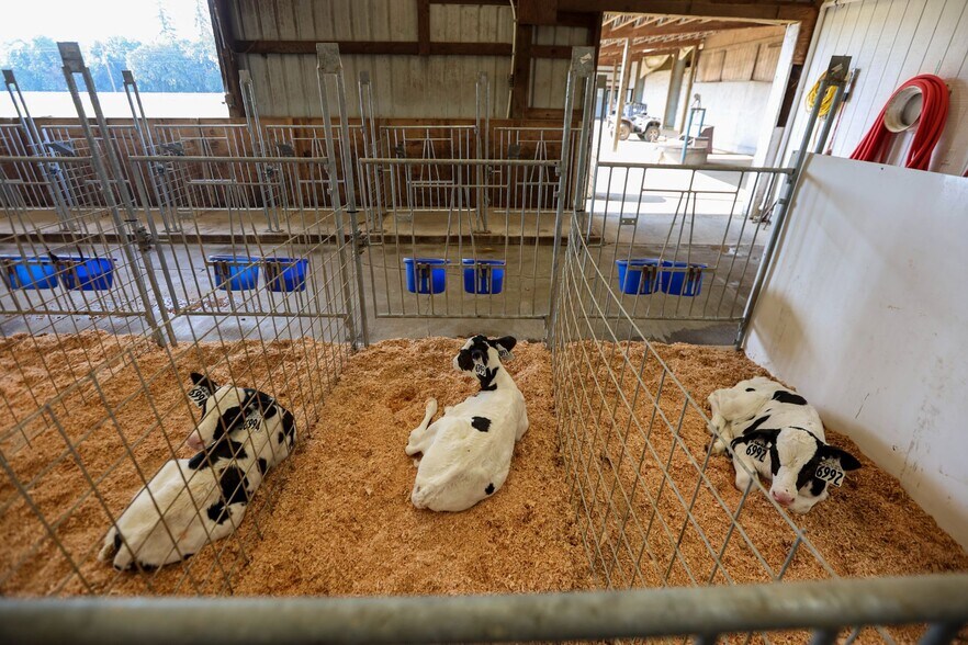 More Photos Of 8845 Rickreall Rd, Rickreall Land For Sale