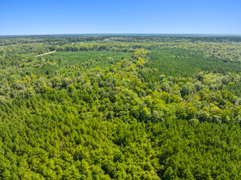 More Photos Of 7471 Highway 155, Saline Land For Sale