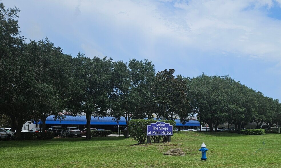 More Photos Of Shops at Palm Harbor Units 3 & 4, Palm Coast General Retail For Sale