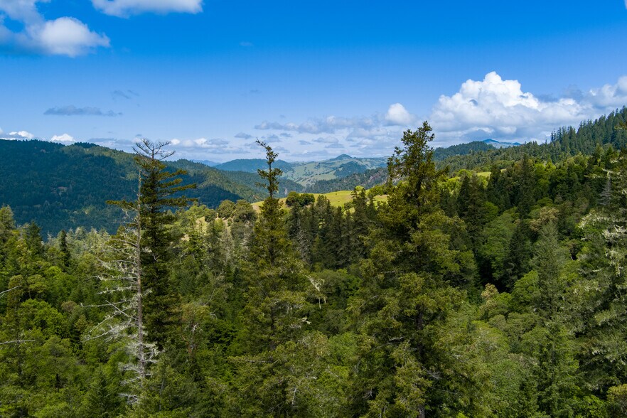 More Photos Of 00 Reed Mountain Ranch Road, Garberville Land For Sale