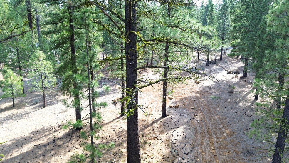 More Photos Of 42451 Blue Heron cir, Old Station Land For Sale