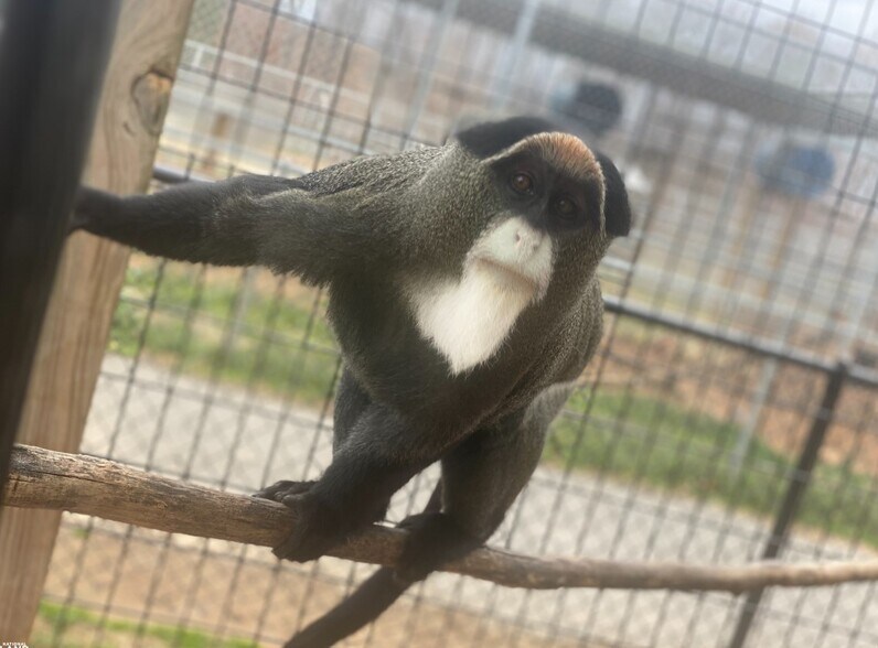 More Photos Of 448 Pilch Rd, Troutman Land For Sale