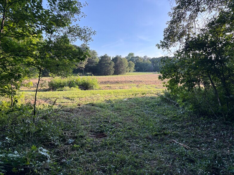 More Photos Of 33600 AL Highway 22, Verbena Flex For Sale