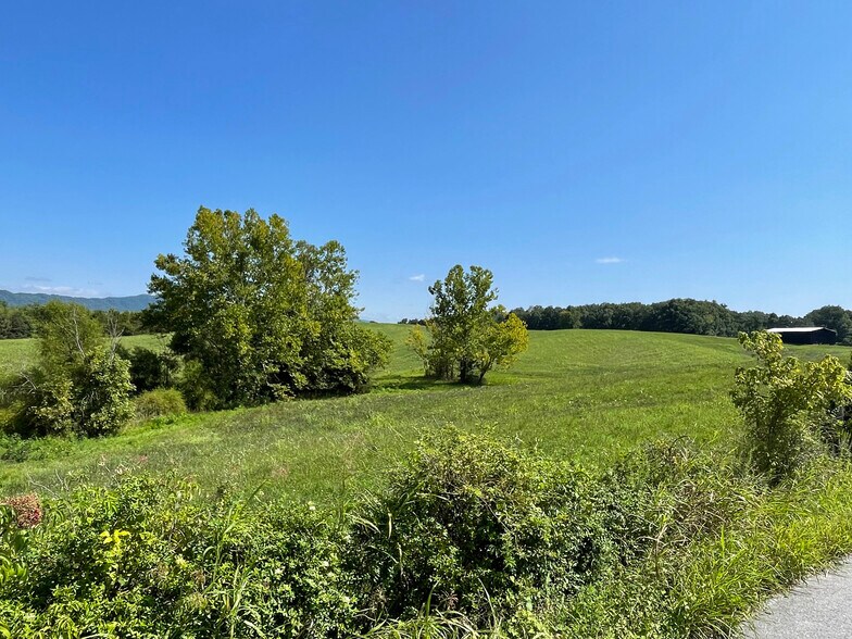 More Photos Of Flatwoods Road, Mosheim Land For Sale