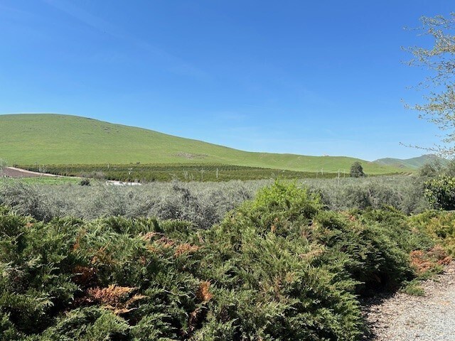 More Photos Of 24257 Ave 234, Lindsay Land For Sale