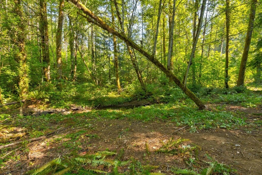 More Photos Of 17401 NE 217th Ave, Brush Prairie Land For Sale