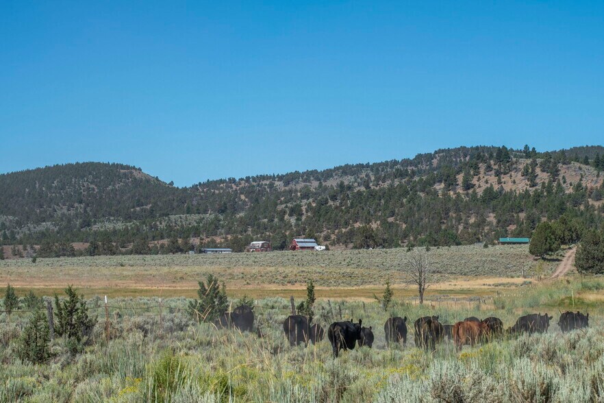 More Photos Of 32611 Tackman Rd, Prineville Land For Sale