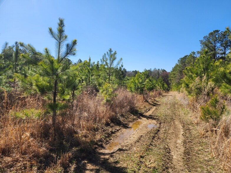 More Photos Of 3004 U.S. 401 Hwy, Louisburg Land For Sale