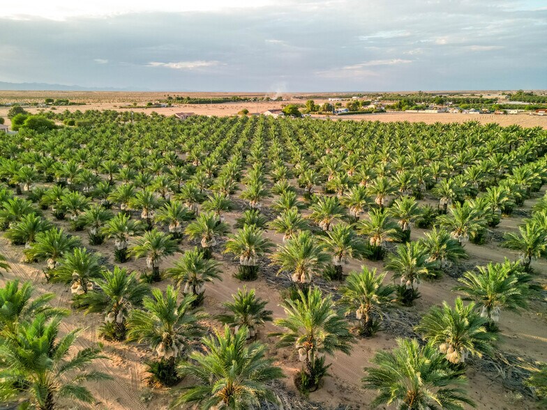 Primary Photo Of 17587 S Ave 3 1/2 E, Yuma Land For Sale