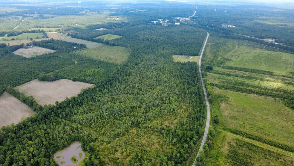 More Photos Of 0 Cane Branch Rd, Walterboro Land For Sale