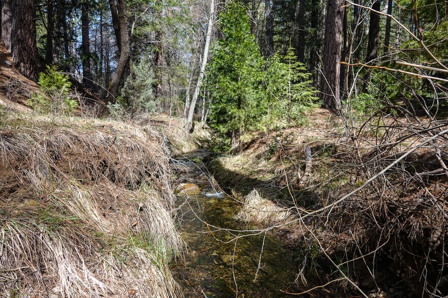More Photos Of 6409 Kangaroo Creek Rd, Gazelle Land For Sale