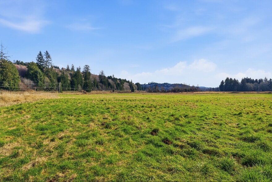 More Photos Of 957 State Route 4 Hwy, Cathlamet Land For Sale