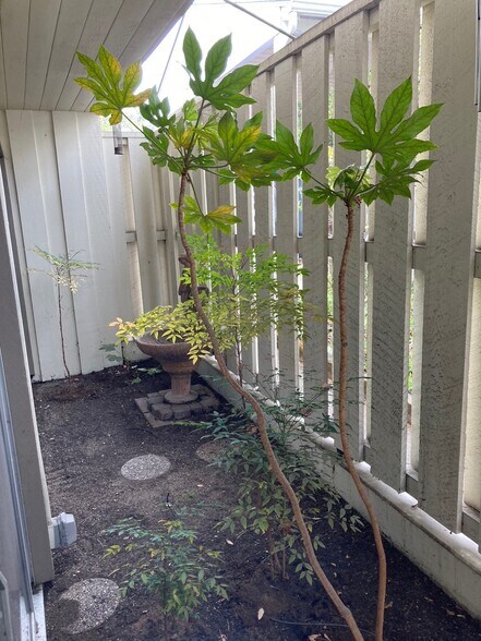 More Photos Of 993 Siskiyou Blvd, Ashland Office For Sale
