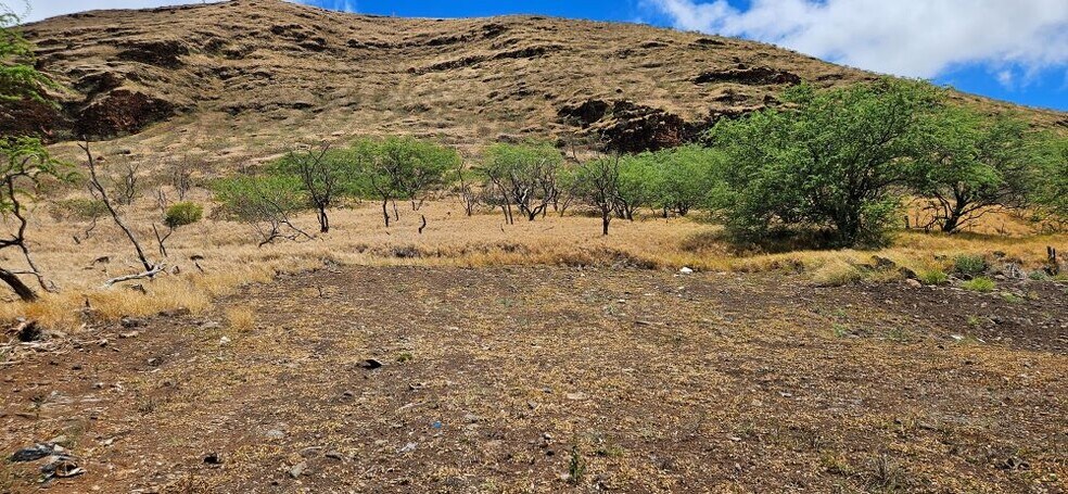 More Photos Of 87-472 Hakimo Rd, Waianae Land For Sale
