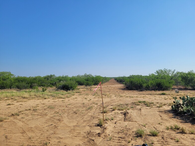 More Photos Of Highway 83 North, Laredo Land For Lease
