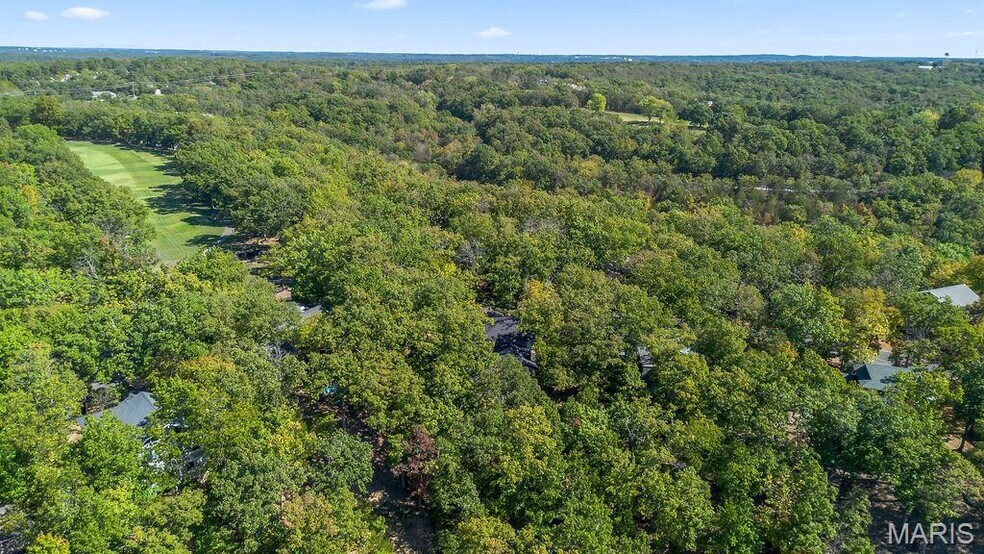 More Photos Of 35 Walkers Cay Drive, Osage Beach Apartments For Sale