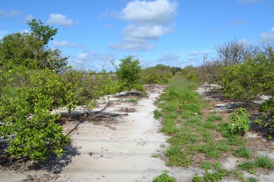 More Photos Of 0 US Highway 27, Haines City Land For Sale