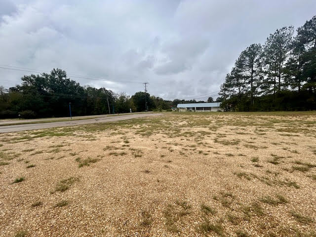 More Photos Of 108 Old Highway 98 E, Tylertown Auto Dealership For Sale