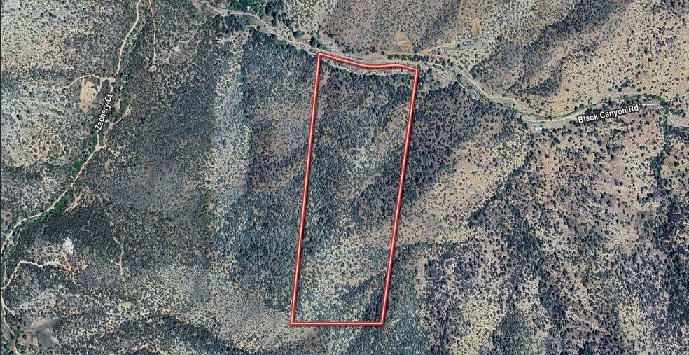 Primary Photo Of Back Canyon Rd, Caliente Land For Sale