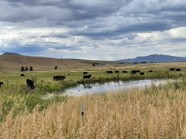 Primary Photo Of 400 Green Gulch Rd, Chilcoot Land For Sale