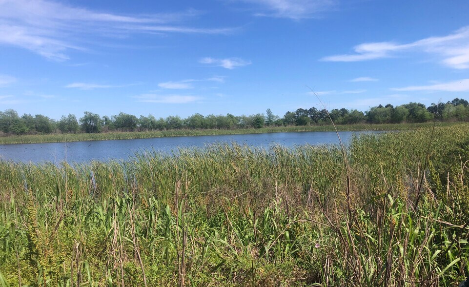 More Photos Of TBD County Road 210, Danbury Land For Sale