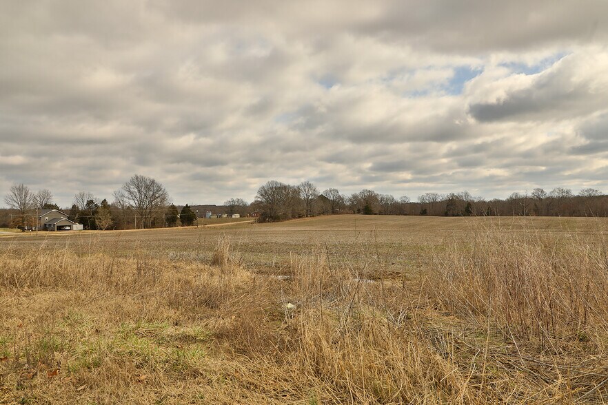 More Photos Of Gleason Como Road, Gleason Land For Sale