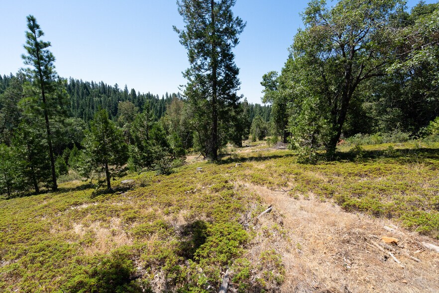 More Photos Of 25755 State Highway 88, Pioneer Land For Sale