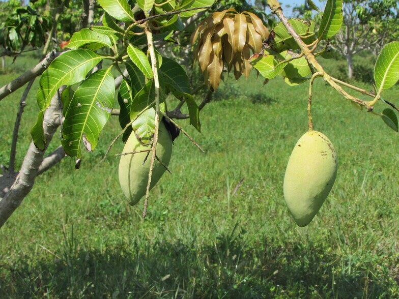 More Photos Of 9000 Stringfellow Rd, Saint James City Land For Sale