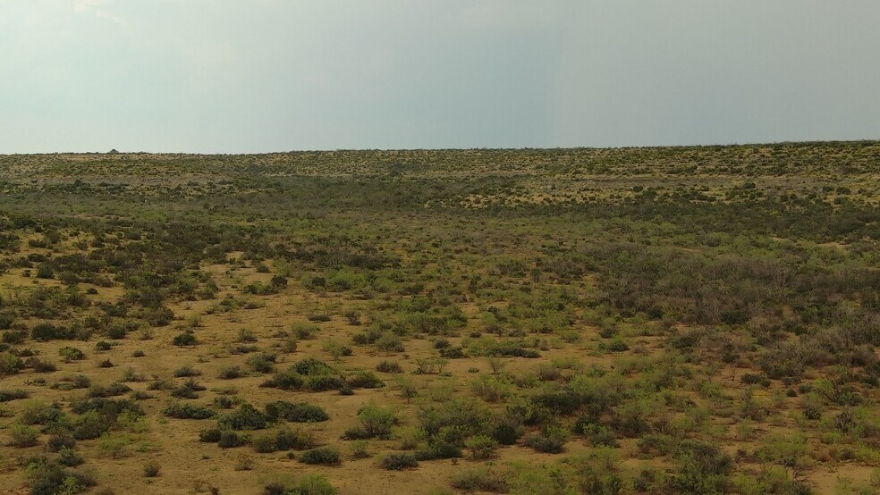 More Photos Of 0100 Cactus Rose Ln, Ozona Land For Sale