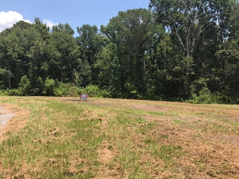 More Photos Of 2139 Charter Pointe Way, Middleburg Land For Sale