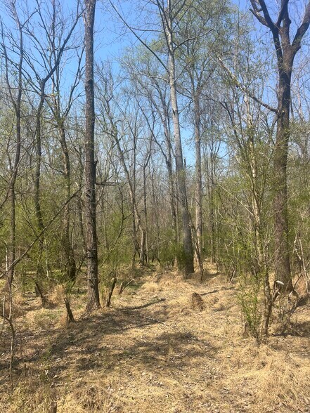 More Photos Of Healing Acres Ln, Carthage Land For Sale