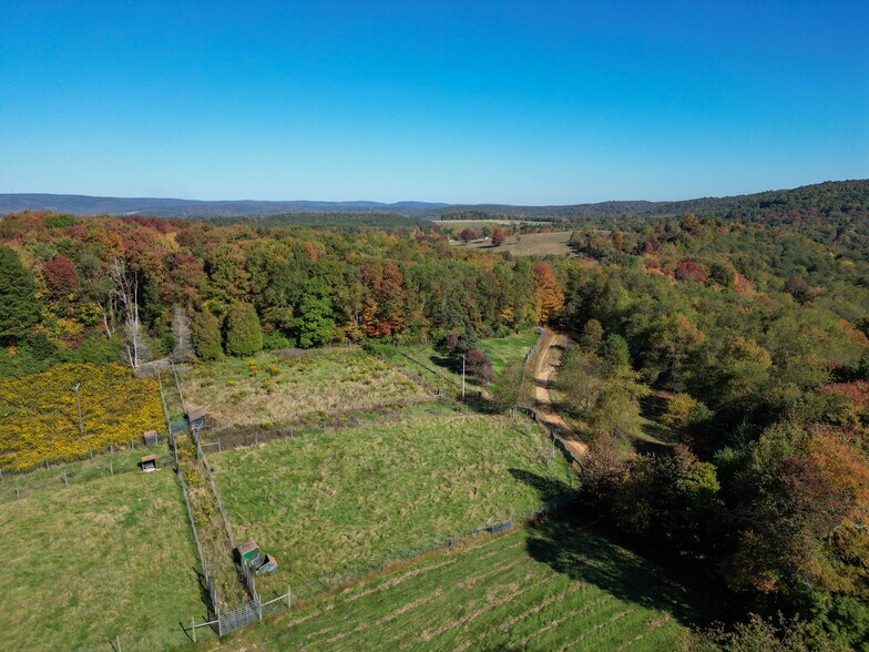 More Photos Of 54 Mockler, Gibbon Glade Lodge Meeting Hall For Sale