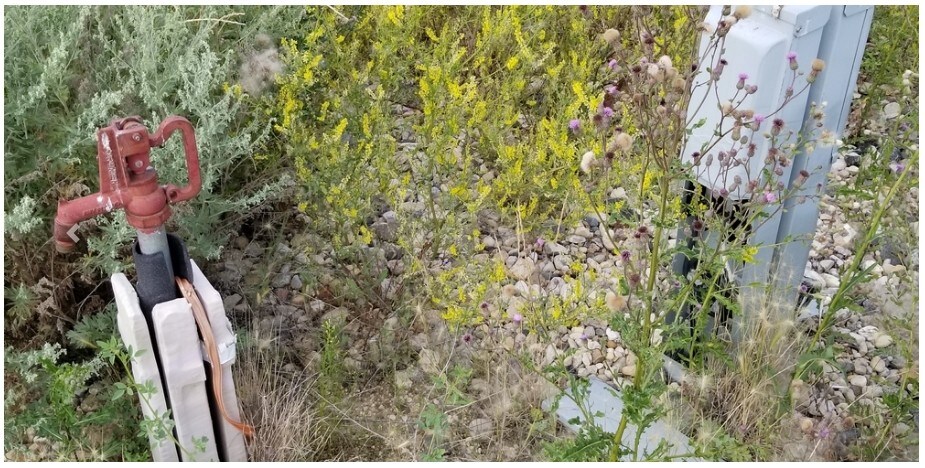 More Photos Of 10243 Highway 2, Tioga Warehouse For Sale