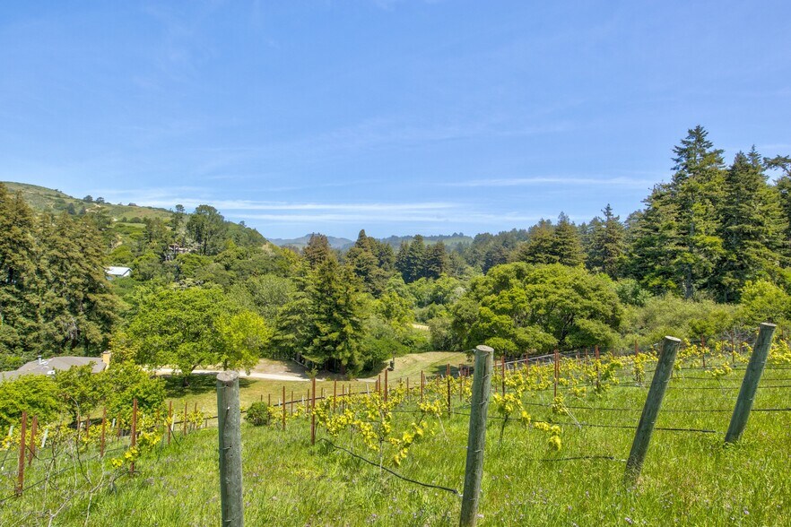 More Photos Of 5090 La Honda Rd, San Gregorio Land For Sale