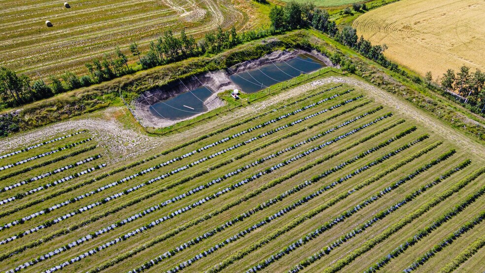 More Photos Of 705068 82 -1, Wembley General Retail For Sale