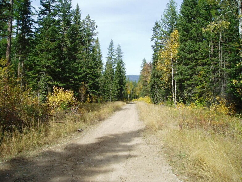 More Photos Of Hodge Creek Timberland Near Ashley Lake, Kalispell Land For Sale