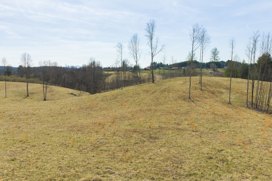 More Photos Of TBD Carsonville Road, Independence Land For Sale