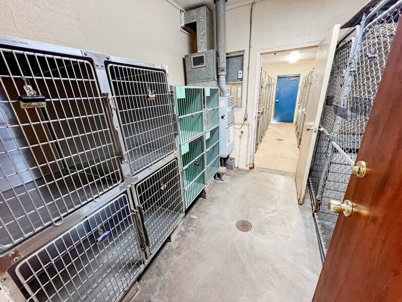 More Photos Of 3400 N Big Spring St, Midland Veterinarian Kennel For Sale