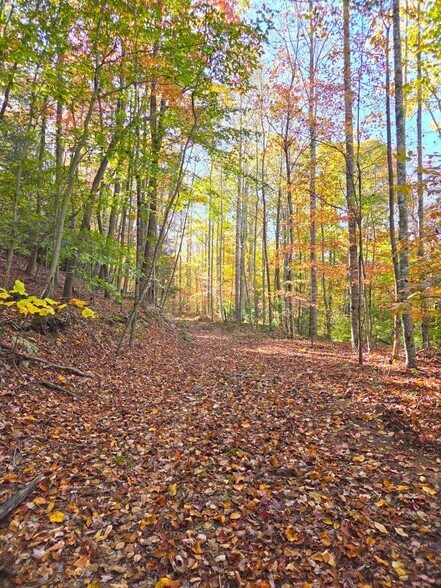 More Photos Of 0 Old Pluto Rd, Shady Spring Land For Sale