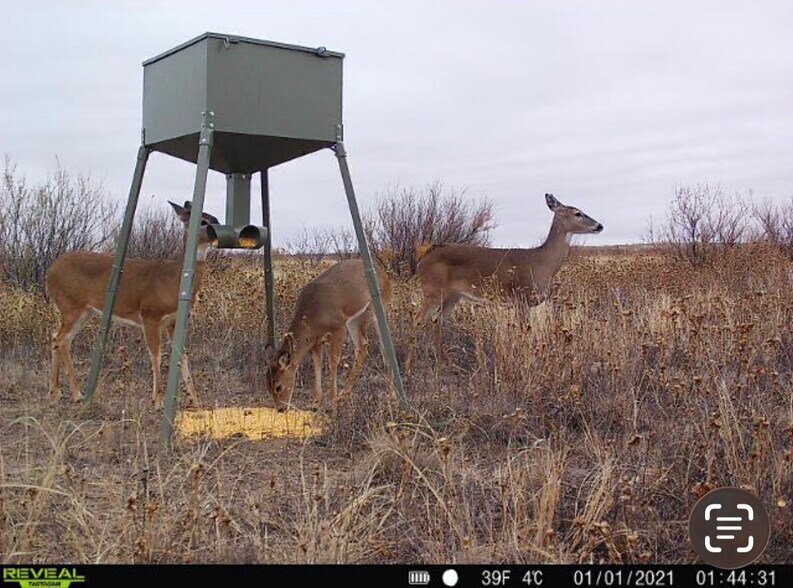 More Photos Of SW Corner of 380 & County Road 595 hwy, Brownfield Land For Sale