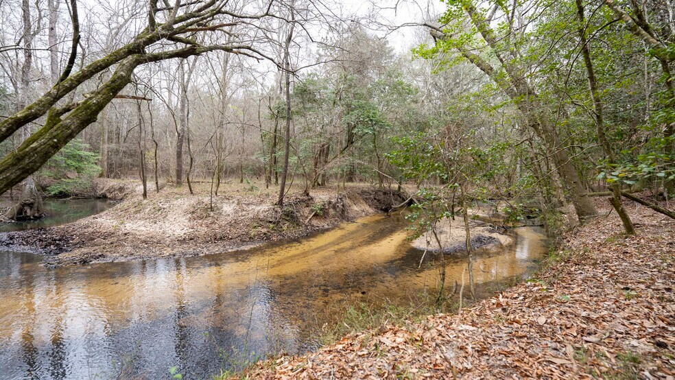 Primary Photo Of 500 Old Milledgeville Rd, Cochran Land For Sale