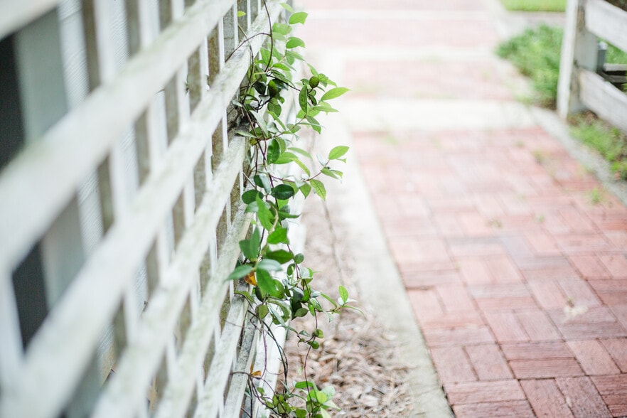 More Photos Of 219 Highway 51 NE, Steinhatchee Lodge Meeting Hall For Sale